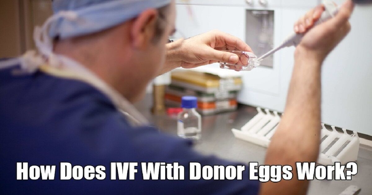 ivf with donor eggs